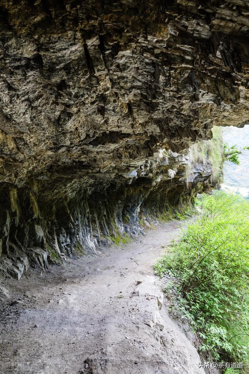 进入怒江雾村必走的茶马古道,怒江大峡谷茶马古道雾里村