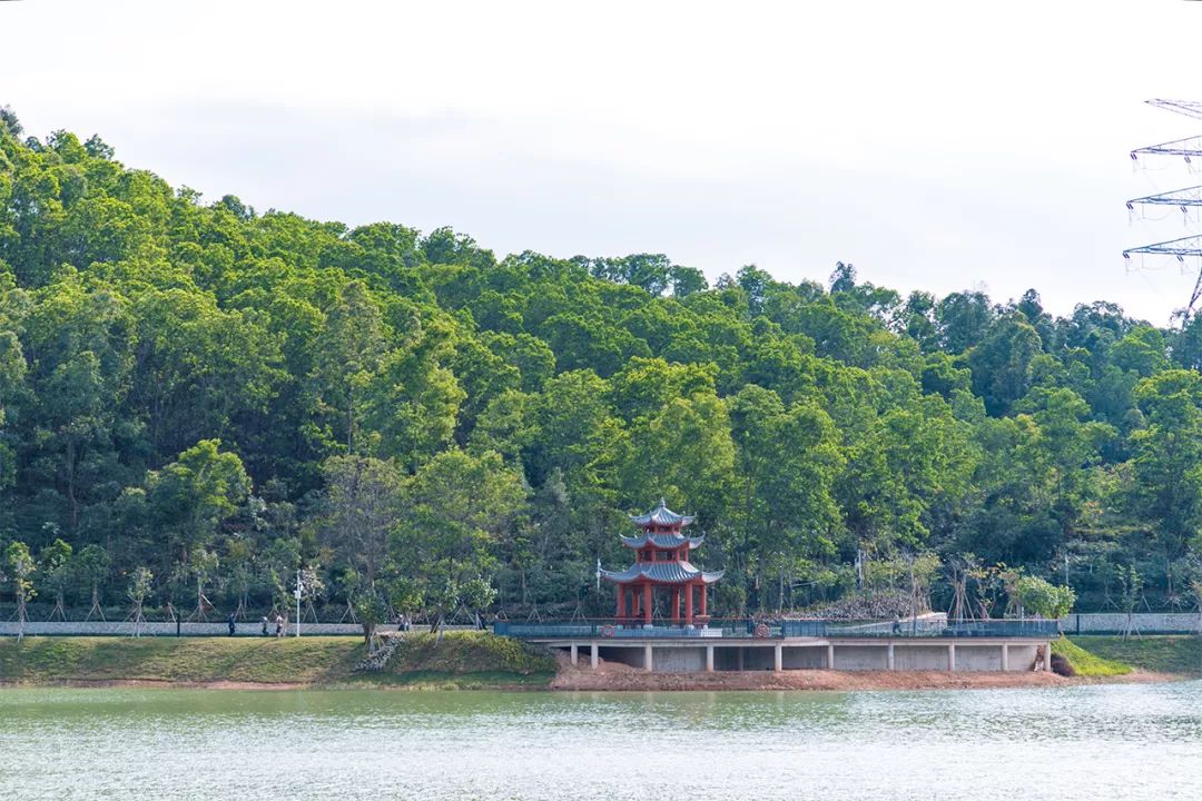 国内好看小众的湖泊,深圳好玩的湖泊有哪些