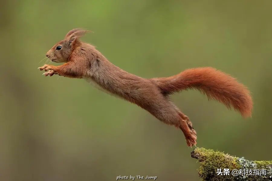 照片上的文字水印,照片水印版权