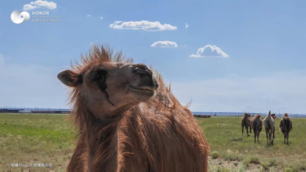 太美了吧！荣耀手机影像计划携手南航遇见“人间仙境”*疆新**