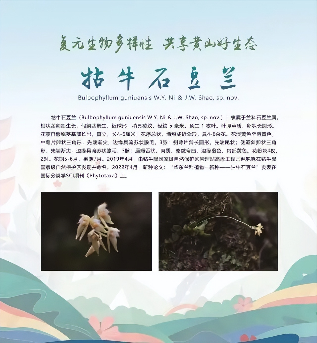 合肥二十种人气美食,合肥好吃的美食排行榜海鲜