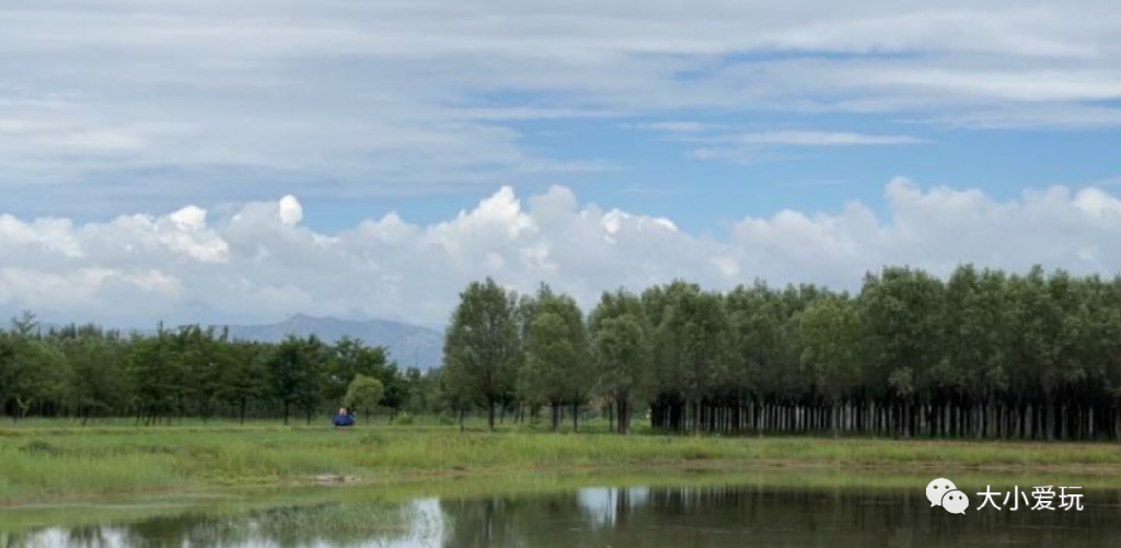 带孩子玩水自驾游去哪里合适,亲子玩水攻略自驾游
