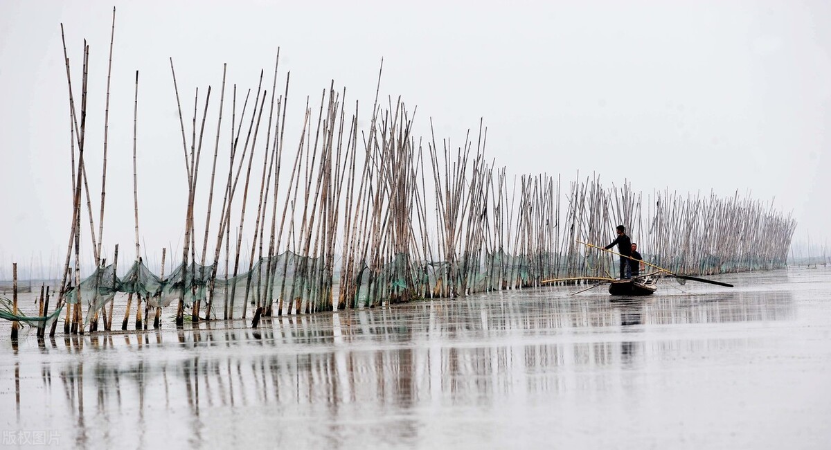 武汉城市圈规划有洪湖吗,洪湖正式成为武汉城市圈的原因