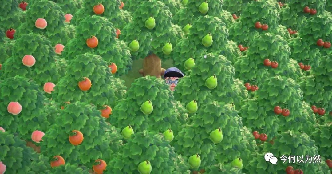 小学四年级数学上册自然数的概念,数学里各种数的概念思维导图