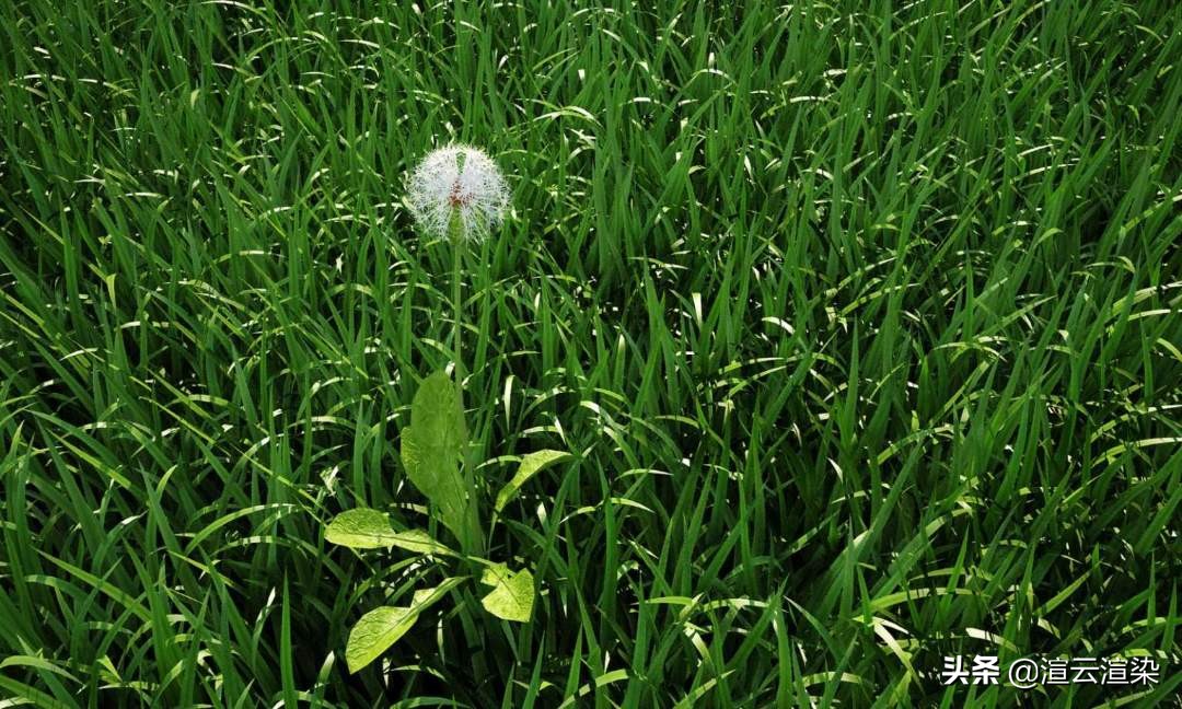 cinema4d默认渲染器够用吗,cinema4d渲染器