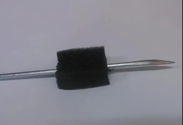 教你扦插大法扦插什么植物都能活,扦插小技巧栽培小妙招