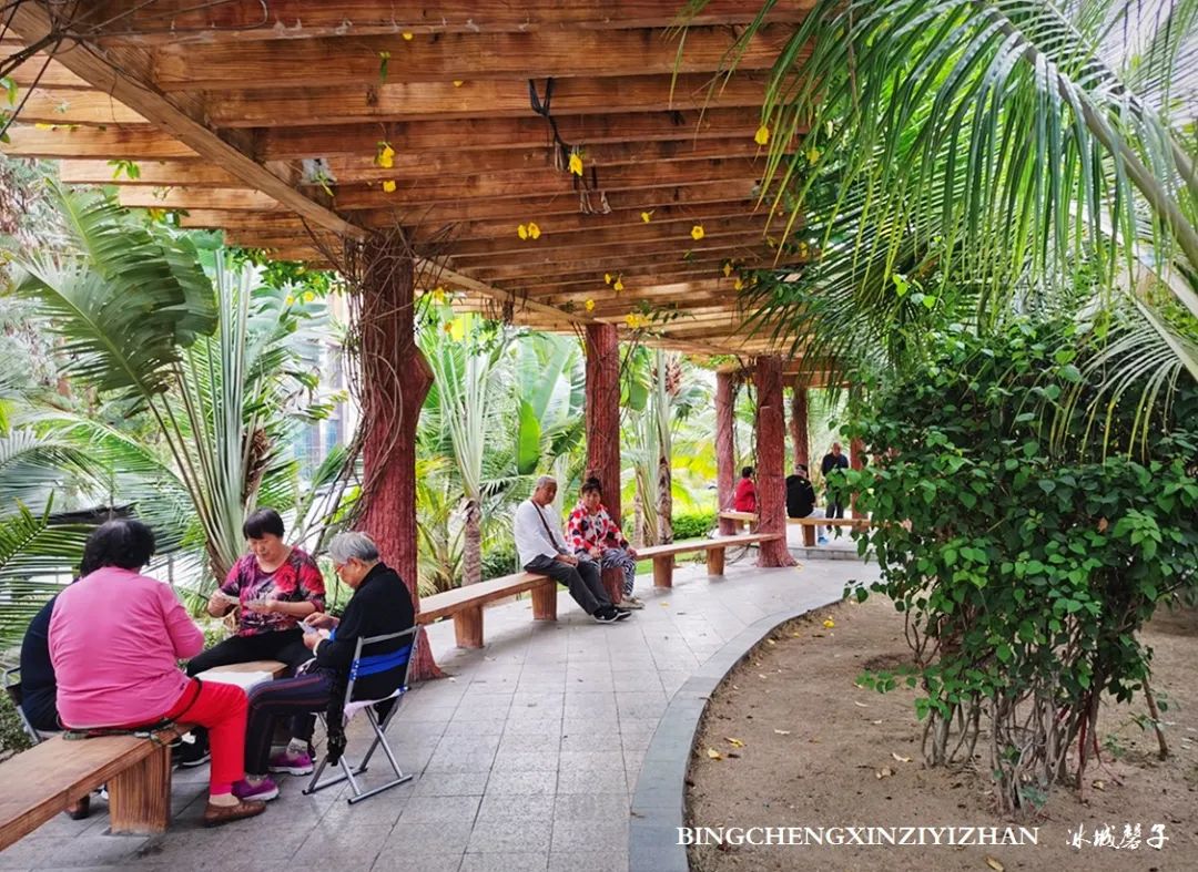 旅居海南：九所新区的浪漫情