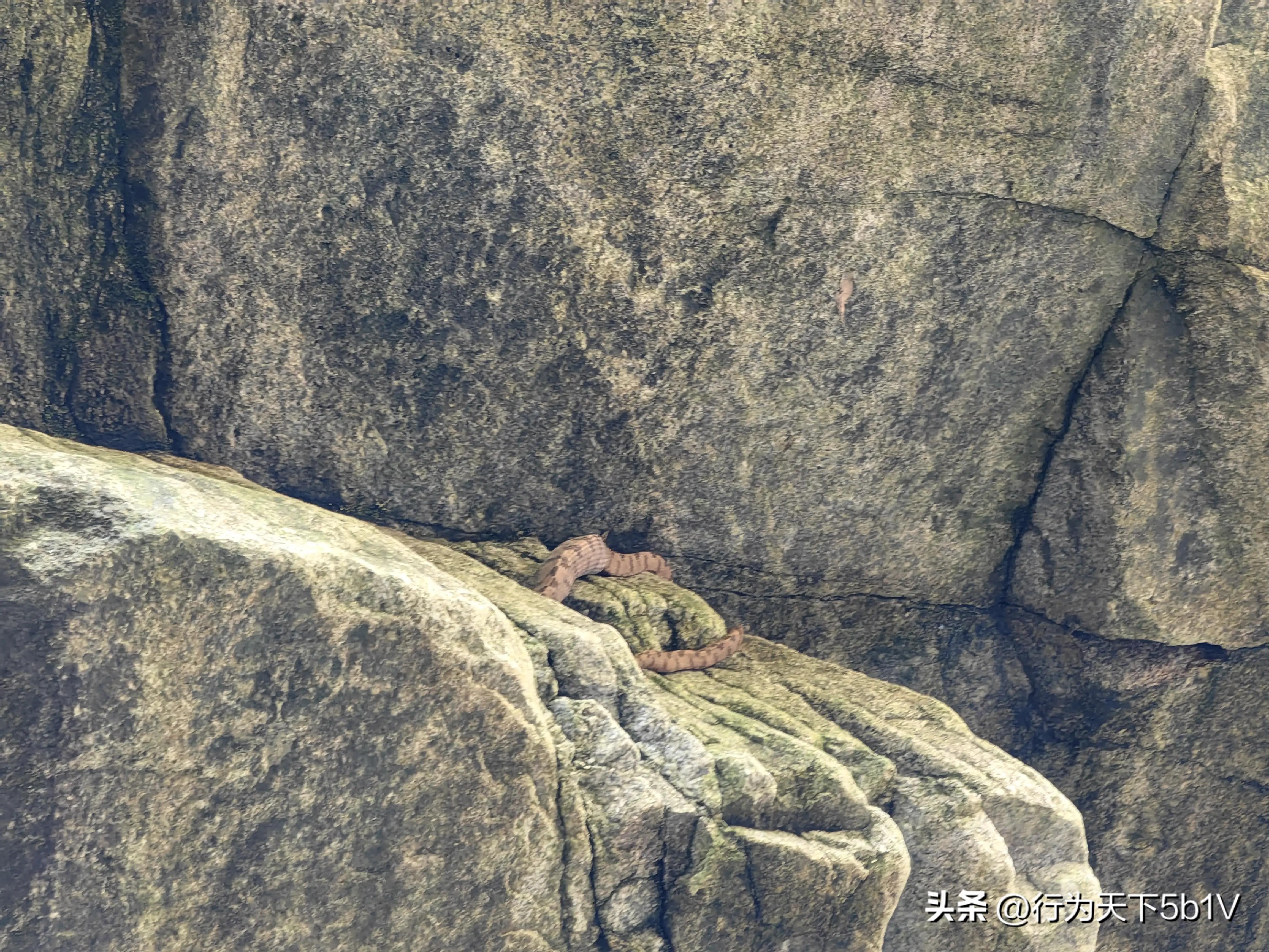 【探秘金紫山下的清凉秘境】行走在资源资江源大峡谷的风景线上