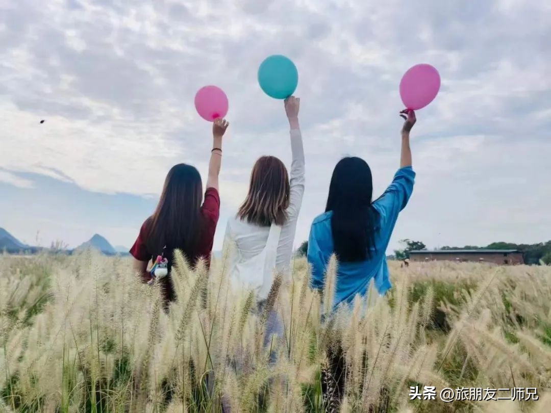 广州出发-英德1天游，美拍狗尾巴草，打卡巧克力小镇，千亩茶园