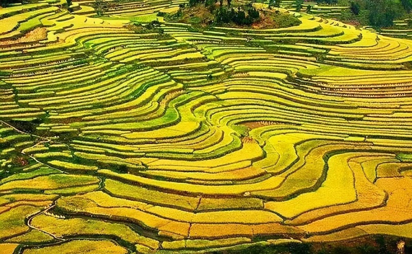 贵州十大旅游景点自驾游攻略,贵州六盘水旅游十大景点介绍