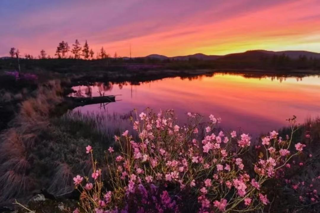 买买买！阿尔山邀你来体验海淘购物快乐！