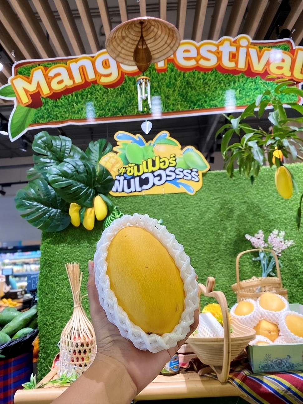 泰国lotus超市必买的,泰国lotus多少家