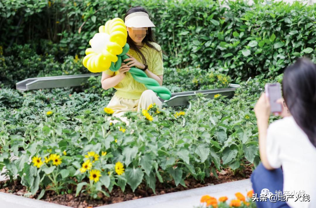 中海有可能爆雷吗,中海还能撑多久