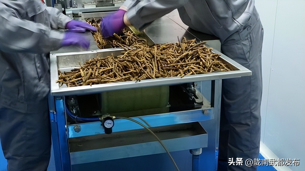 俄罗斯出口中国食品有哪些,中国进口俄罗斯中药材