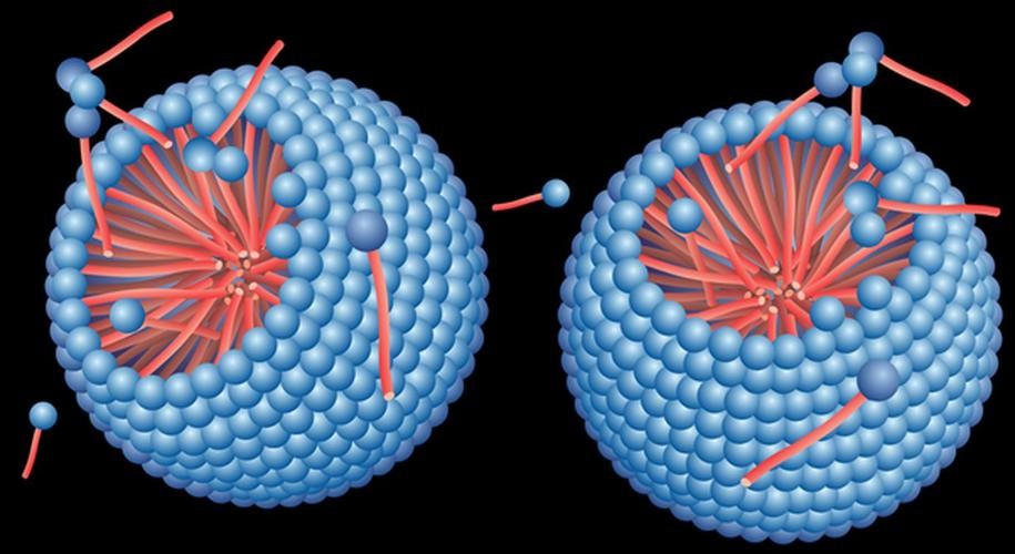 水乳剂效果视频,水乳剂使用方法