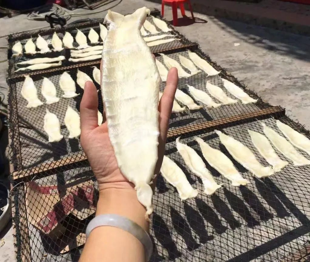 产后适合吃哪种花胶,手术后可以吃花胶吗