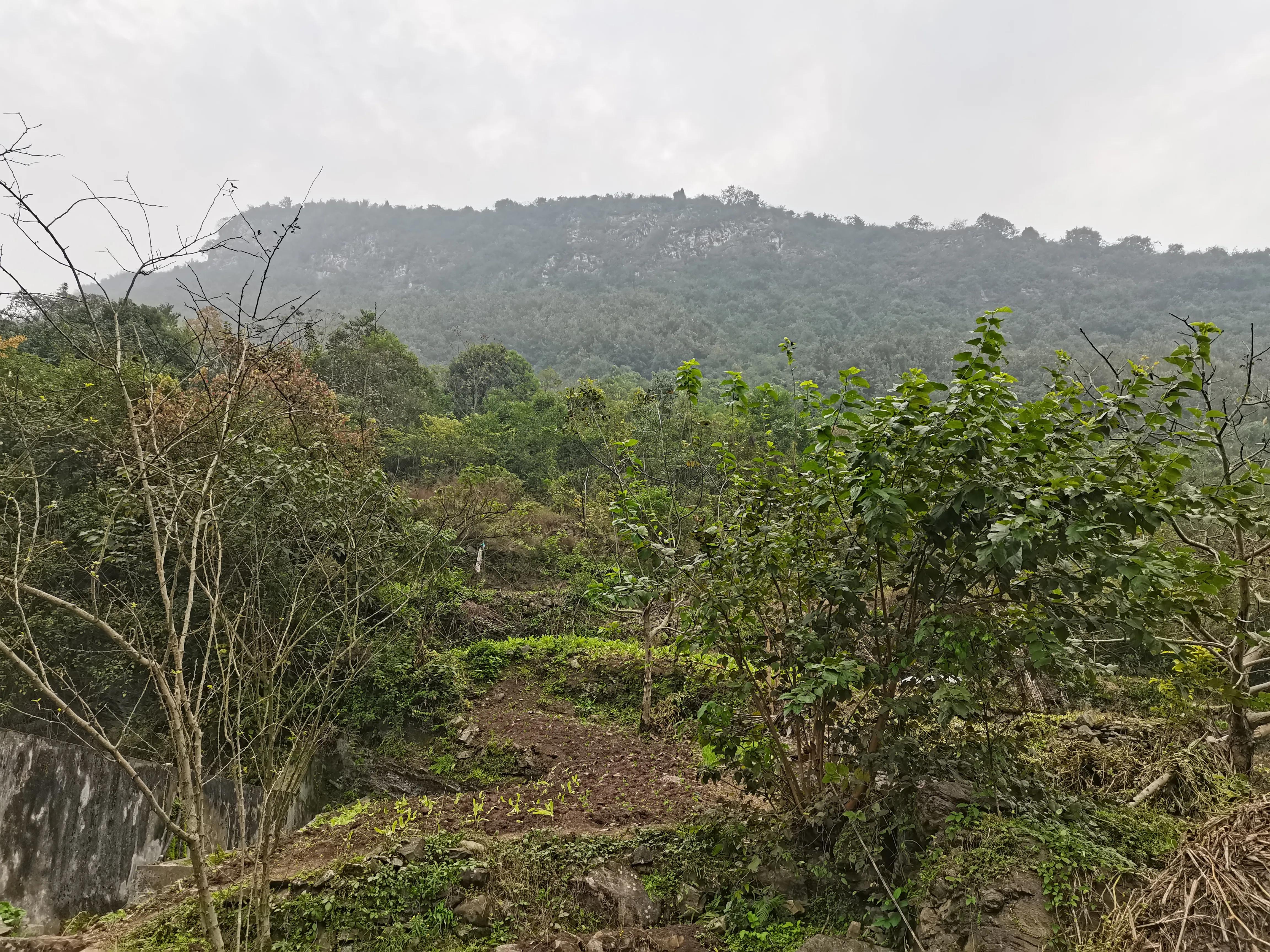 嘉陵江小三峡瀑布,嘉陵江小三峡游记
