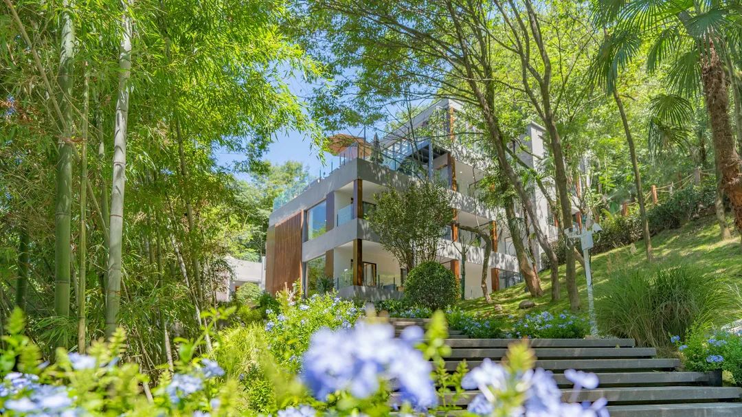 端午节住青旅推荐,端午节旅游酒店推荐