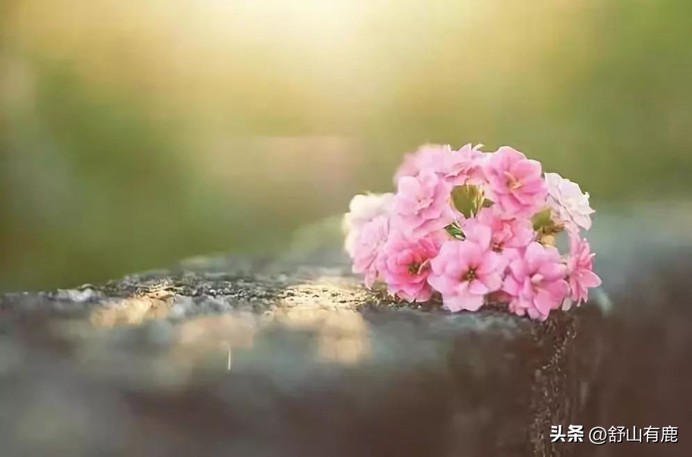 遇到克你的人怎么办,遇到命中克星怎么办