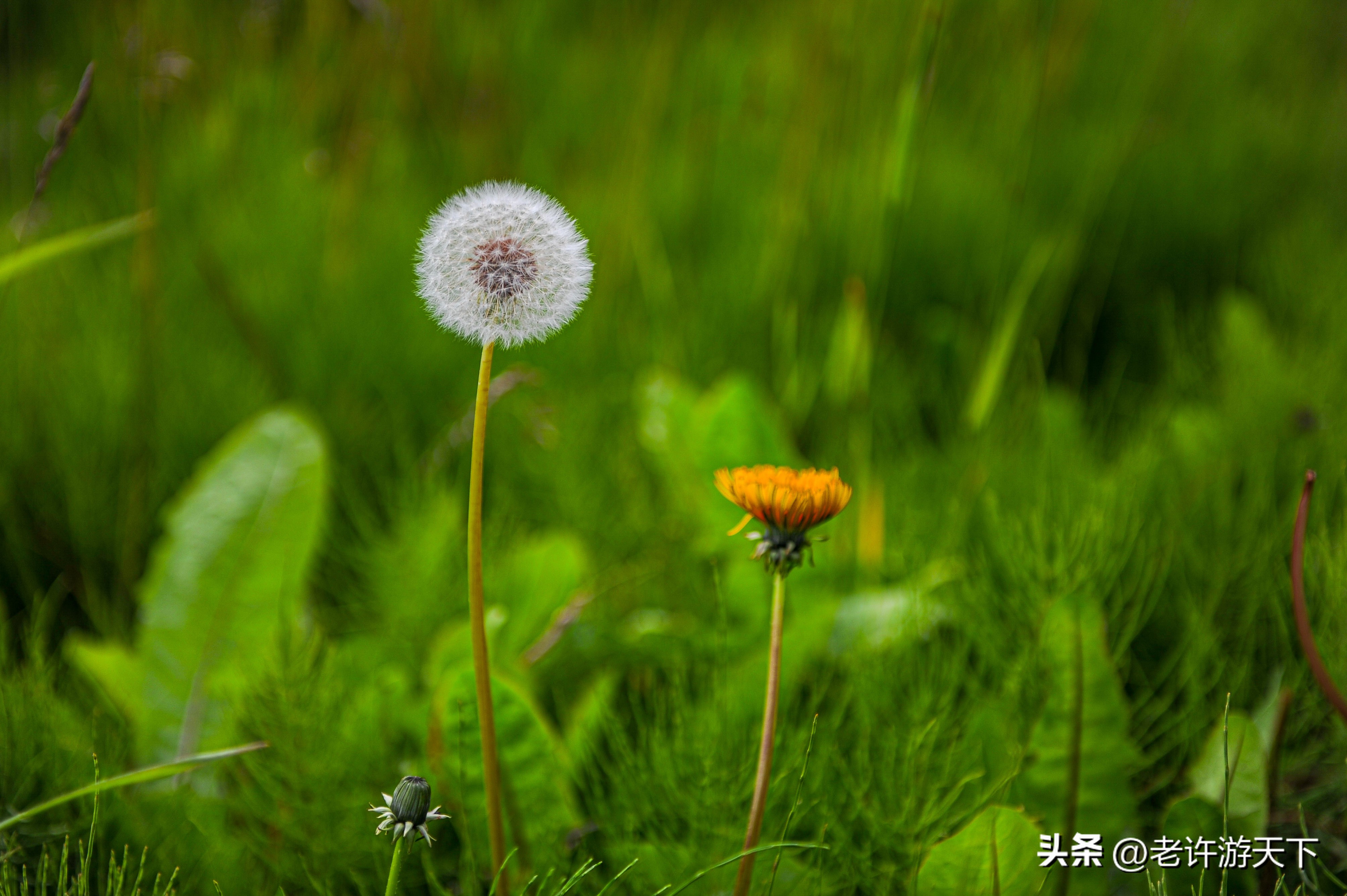 环游世界冰岛旅游攻略,环游冰岛自驾游
