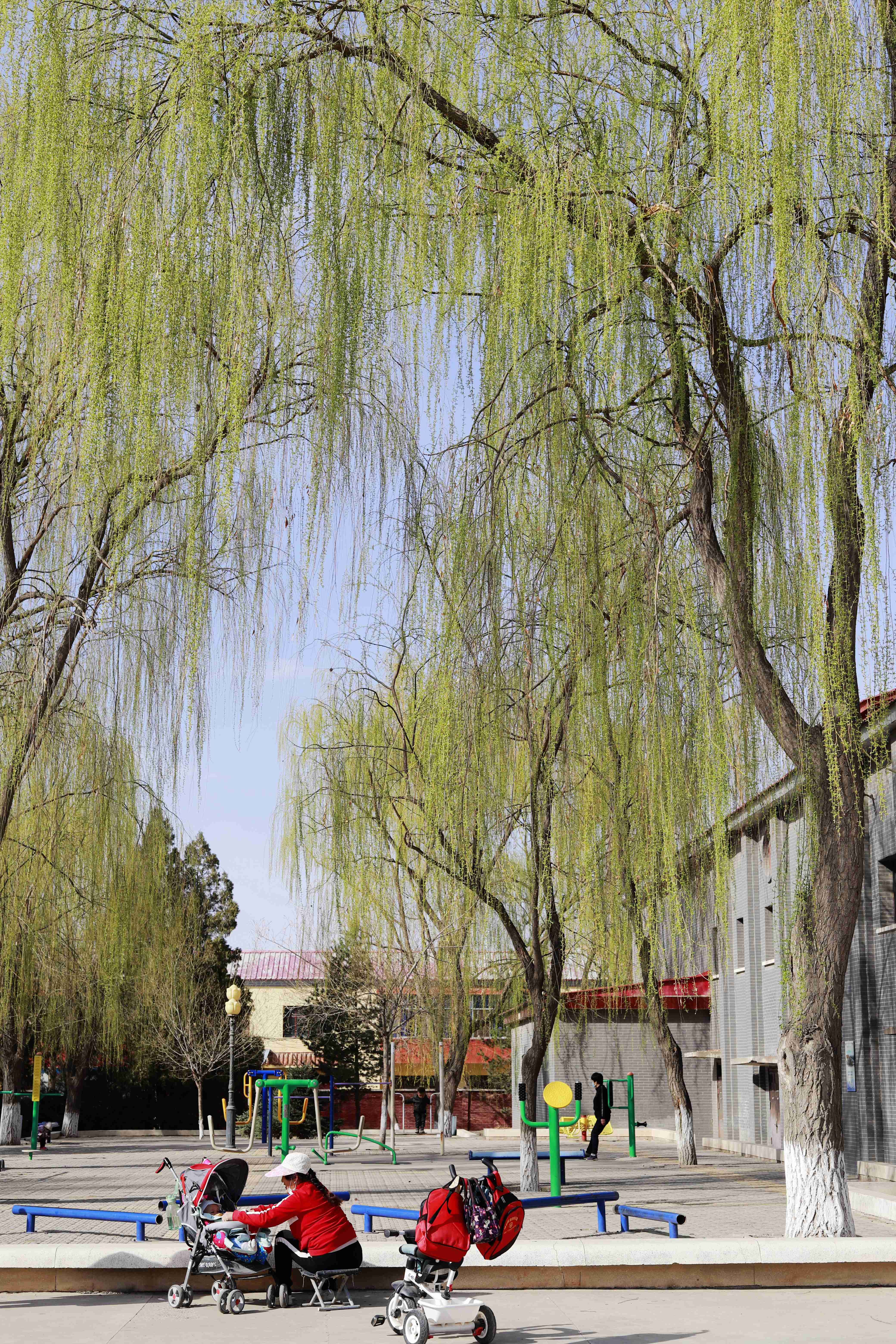 春风梳杨柳，条条碧玉妆