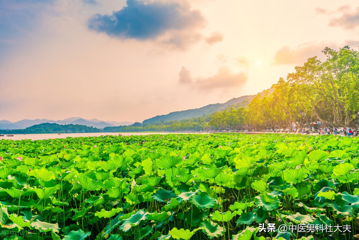 肾虚脾气虚最有效的方法,肾虚不固治则补肾宁心