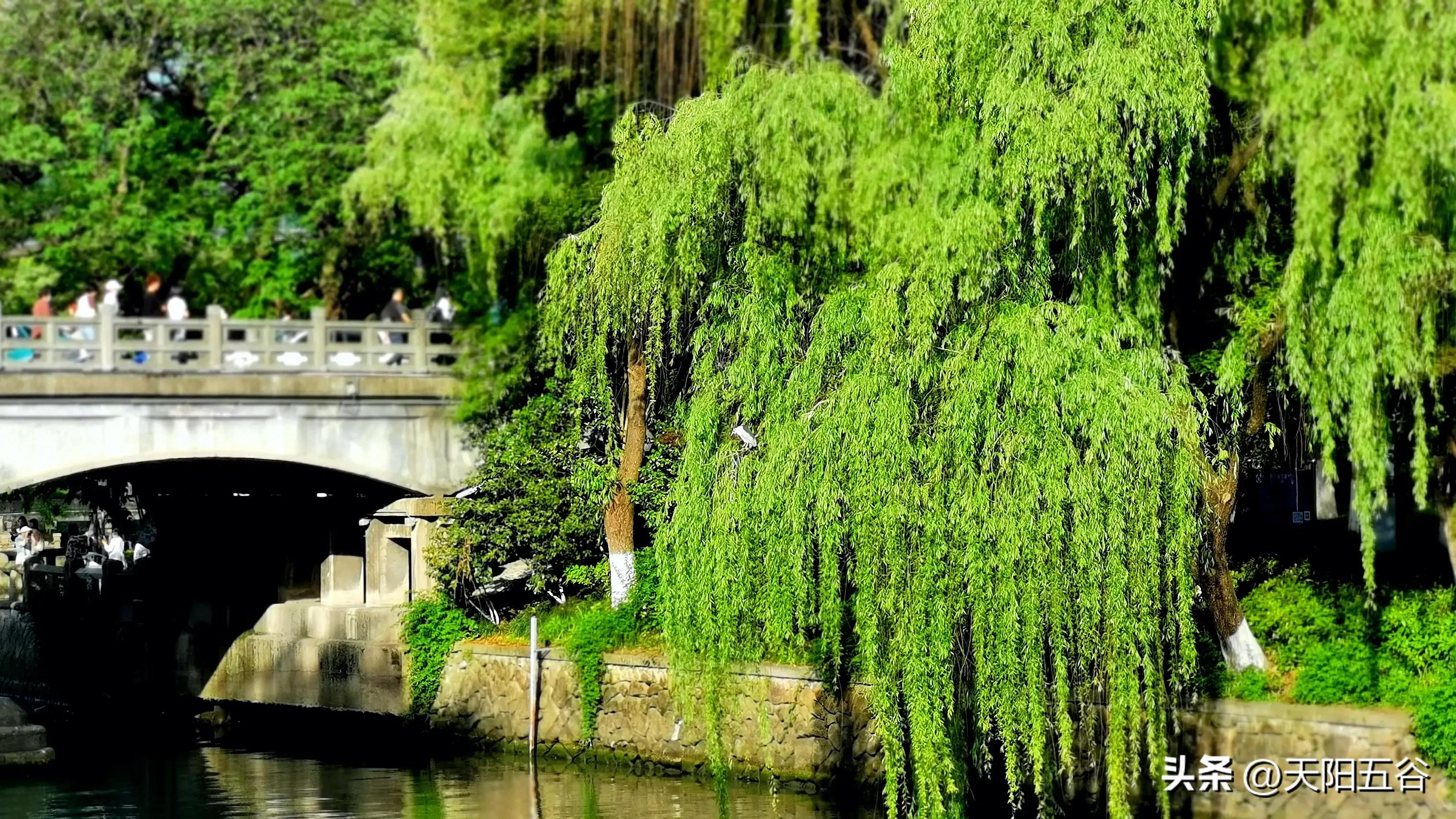 杭州小河历史文化街还有哪里好玩,游杭州小河历史街区