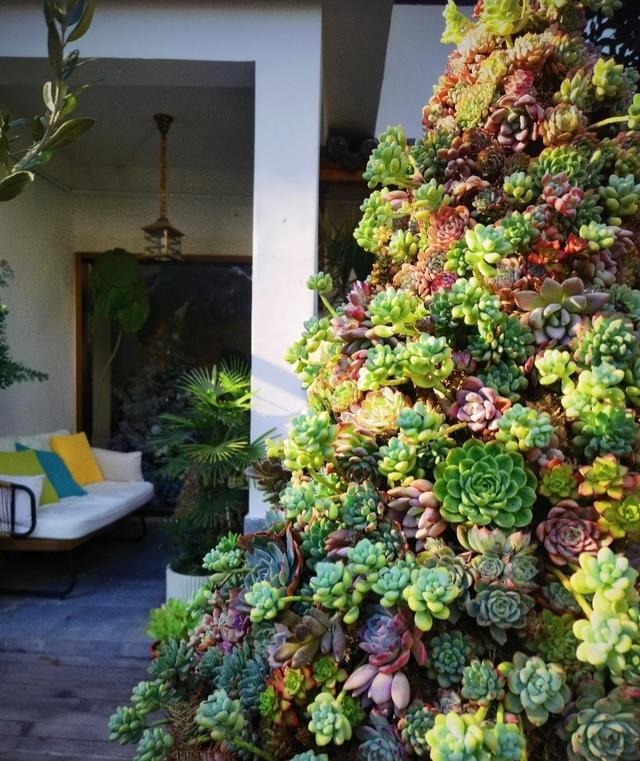 粘土多肉圣诞树简单版,多肉圣诞树