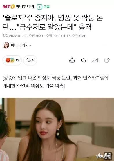 宋智雅回应假货风波,宋智雅的假货风波怎么发现的