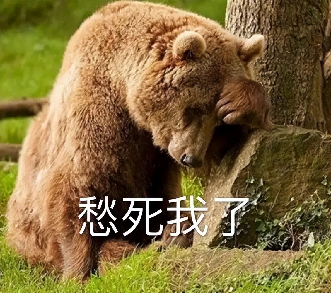 chatgpt对未来和我们的影响,chatgpt引发的危机