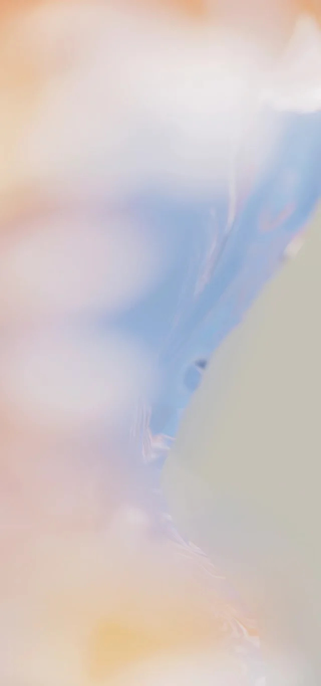 蝴蝶结亮晶晶壁纸,亮晶晶的壁纸