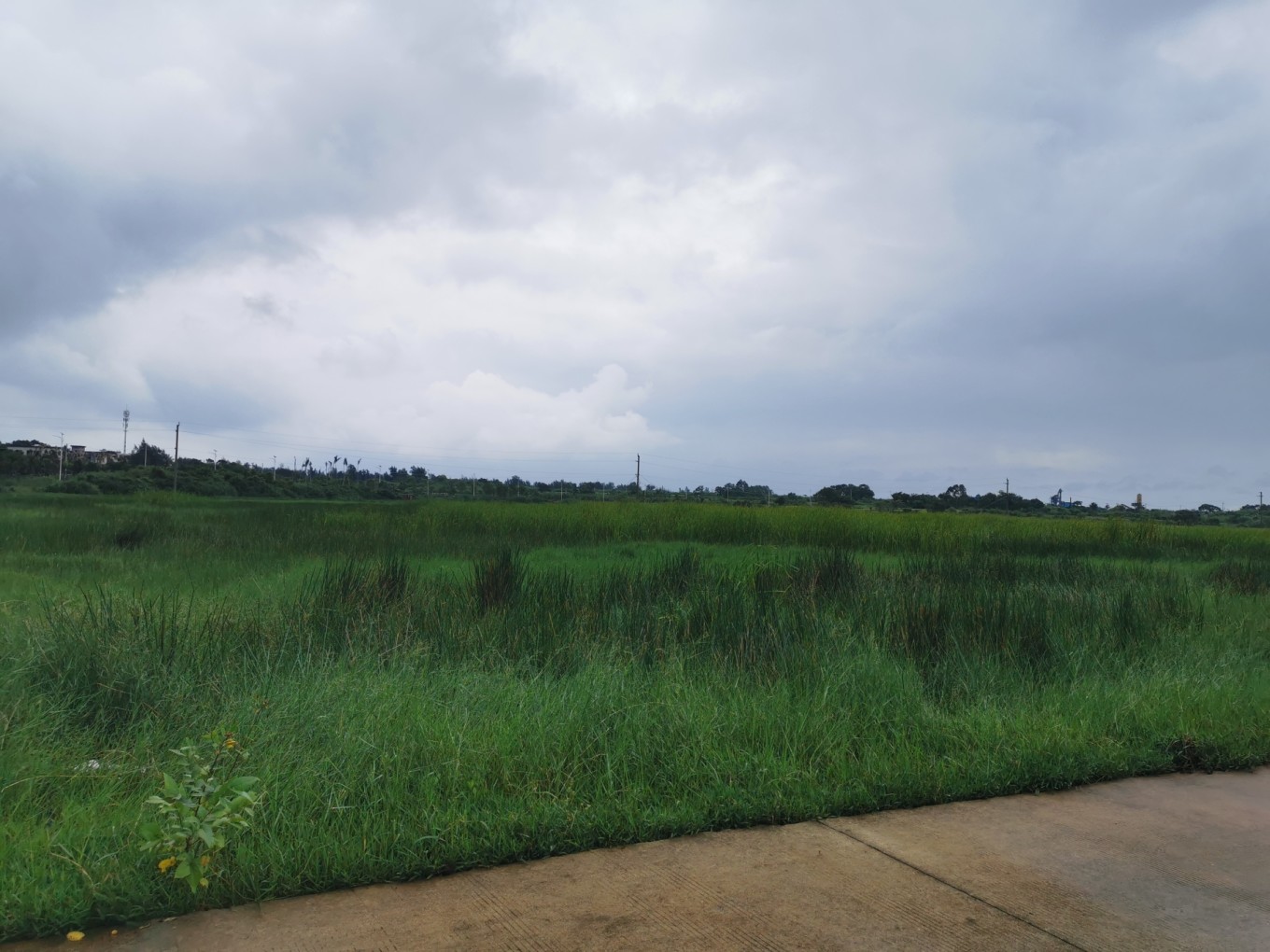 北海是一座令人向往的城市吗,北海是浪漫的城市