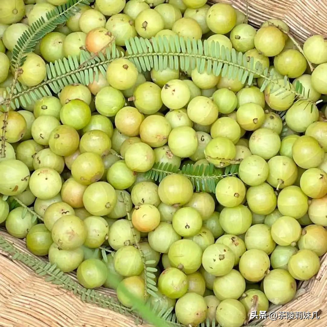 大人冬季咳嗽快速止咳小妙招雪梨,熬夜咳嗽快速止咳小妙招雪梨