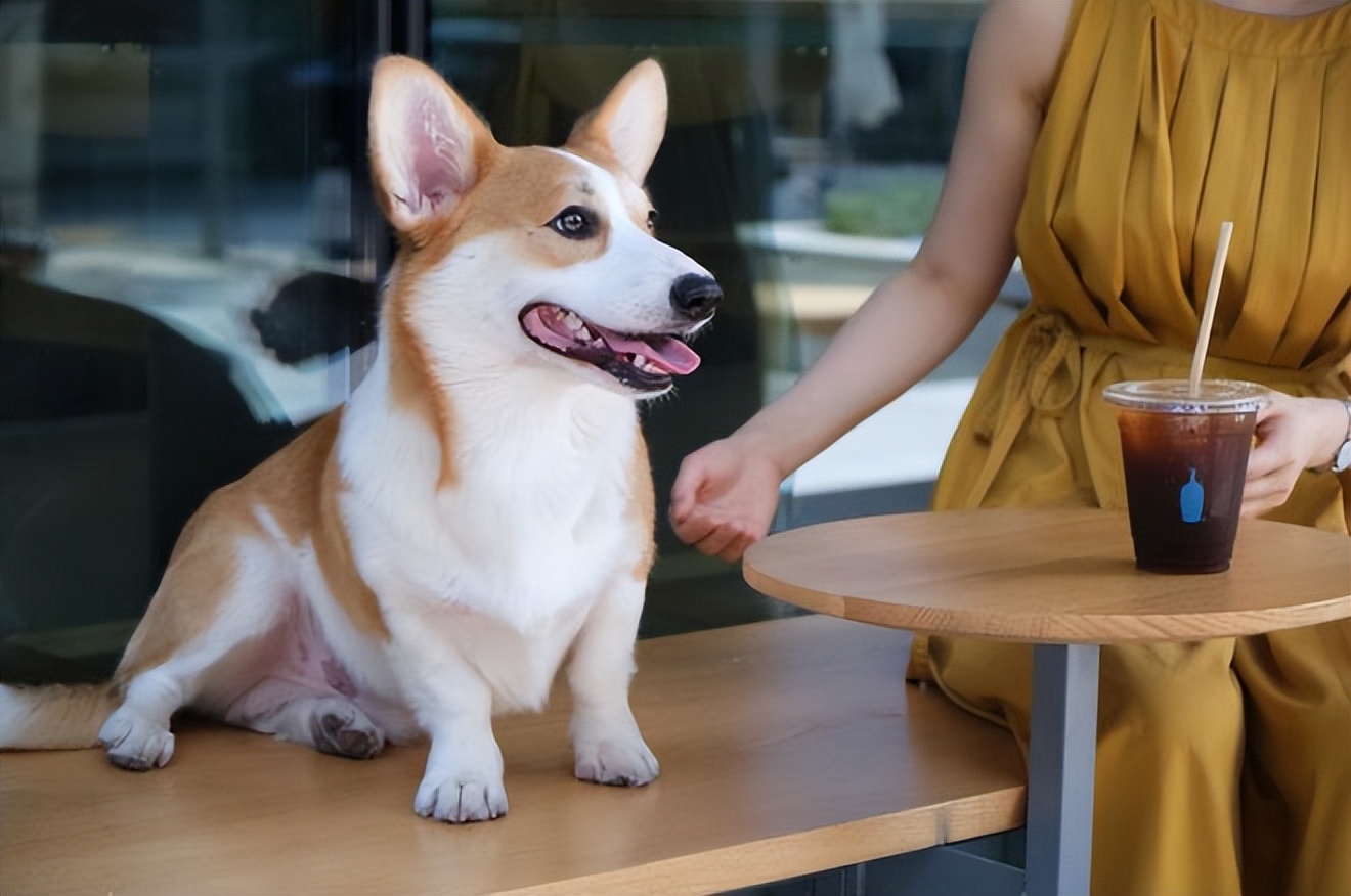 蓝瓶咖啡中国内地首店,蓝瓶咖啡门店解读