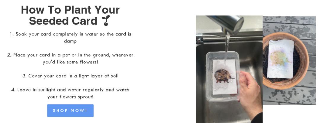 继种植铅笔大火后，可种植贺卡也来TikTok“蹭热度”了？