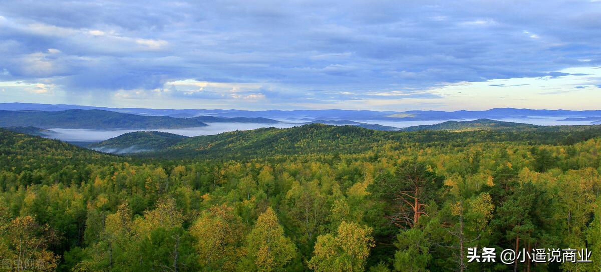 张玉植发,雍禾植发董事长张玉个人身价