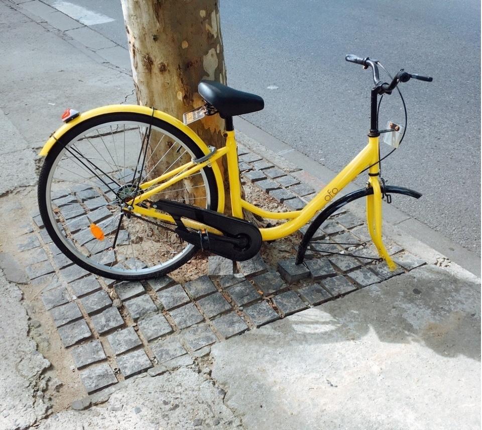 都是人才，疫后捞偏门，共享单车全“灰了”