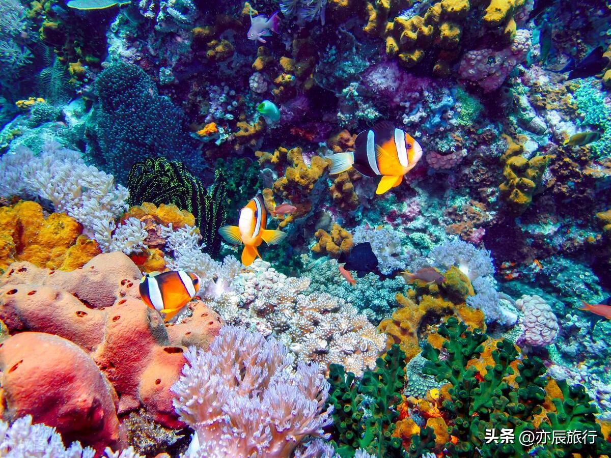 中国好玩的地方排行榜前30名,中国最好玩的地方是哪里