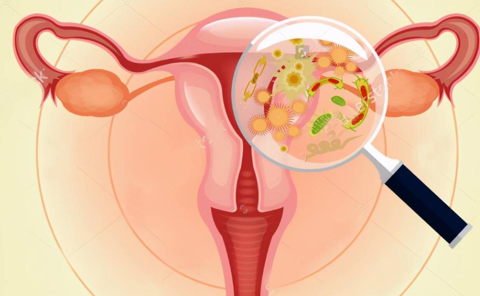 男女之间的生理冷知识,100个生活趣味冷知识