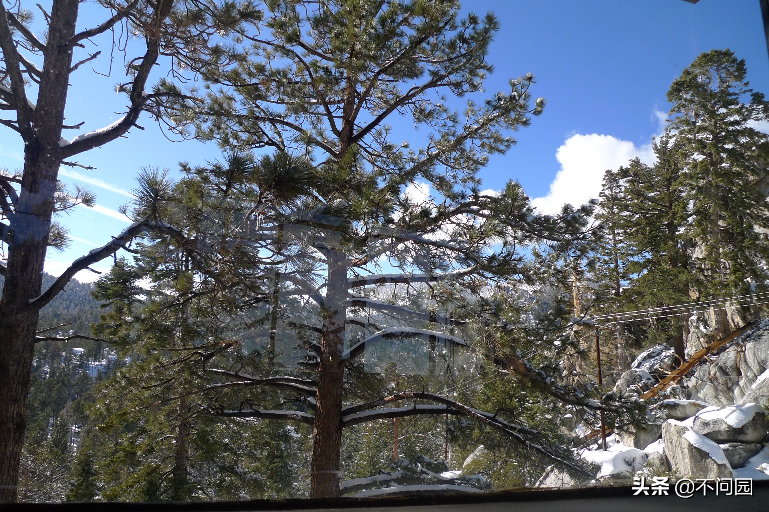 棕榈泉缆车,美国加州棕榈泉缆车