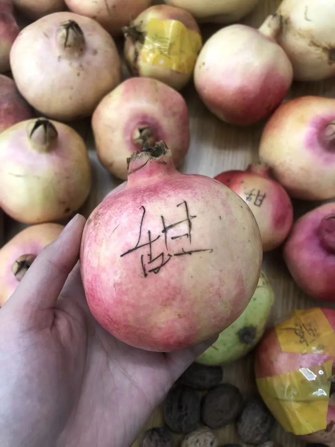 她不过是指了个路