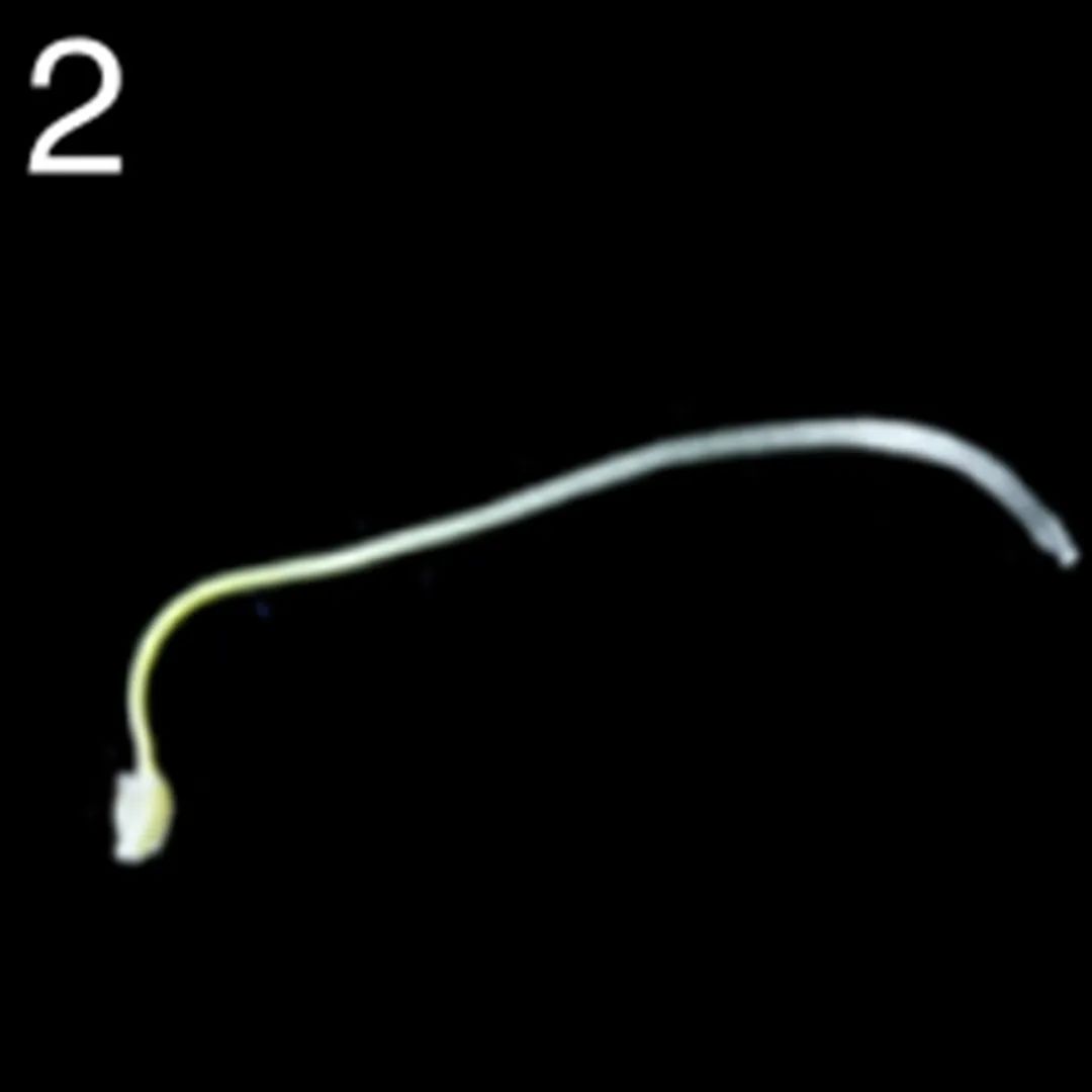 “菟菟”那么可爱，为什么还要这么卷呢？