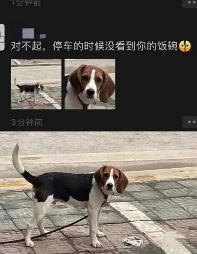 那些搞笑的图片截图,盘点那些搞笑的图