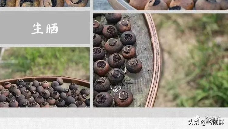 陈皮普洱一杯有暖润感的茶,泡一壶陈皮普洱享受冬日美好时光