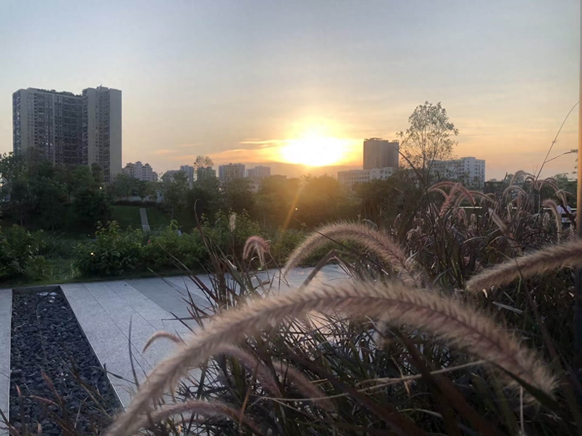 高干文合集书,高干文合集110本