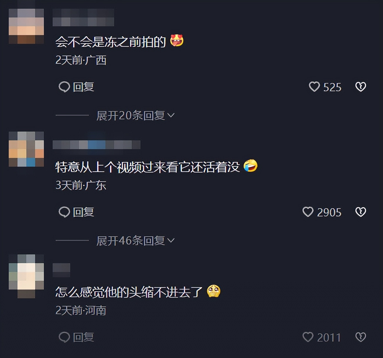 甲鱼冻成冰还能复活吗,甲鱼被冷冻后复活