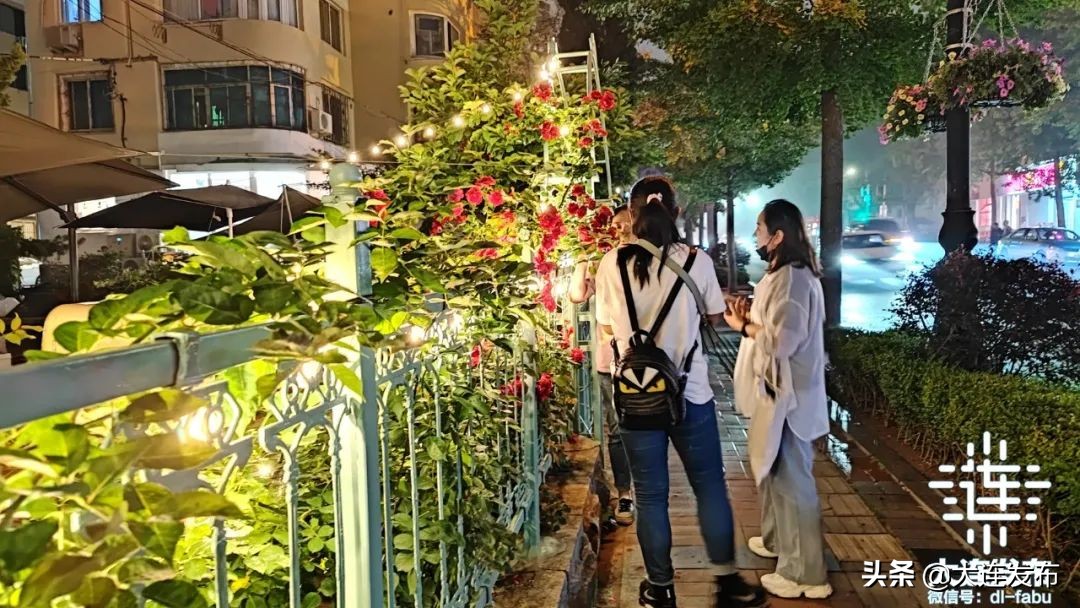 夜玩大连一日游推荐,夜晚大连玩啥