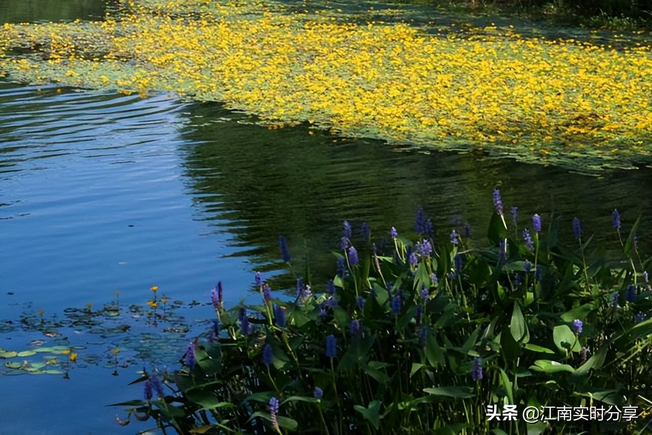 宫崎骏的绝美风景,治愈系宫崎骏夏日风景