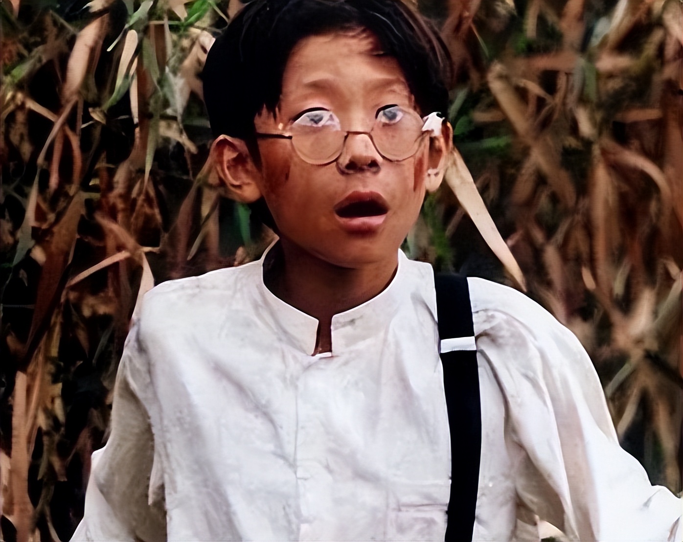 张一山坦白身份,现实版张一山现状