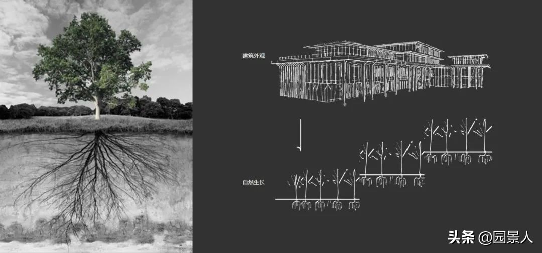 南山之北，理想生活追寻丨保利·麓谷林语